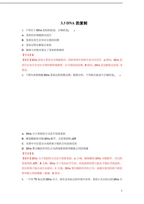 3.3 DNA的复制(练习)(解析版)高一下学期生物同步精品系列(人教版2019必修2)