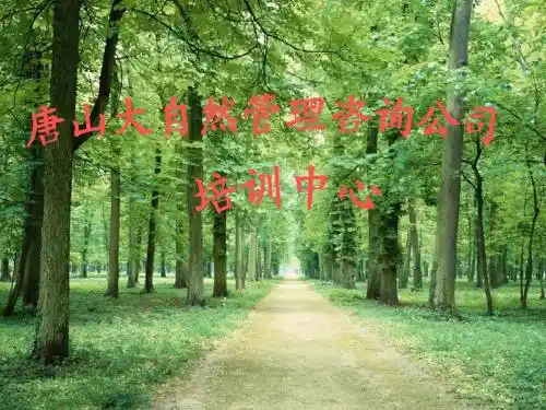 安全管理基本知识