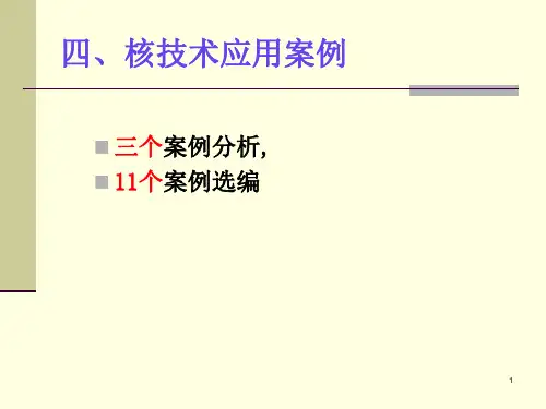 注册核安全工程师--案例分析