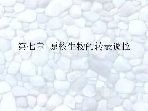 第七章原核生物的转录调控