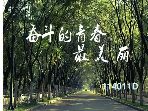 团课_我的青春我的大学
