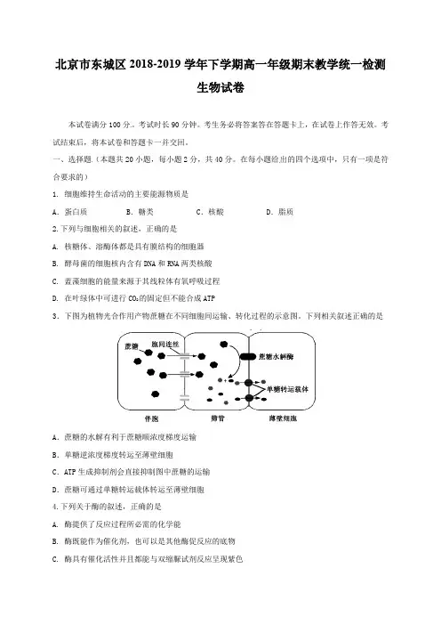 北京市东城区2018-2019学年高一下学期期末教学统一检测生物试题(含答案)