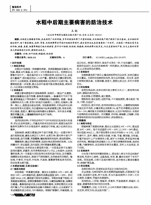 水稻中后期主要病害的防治技术