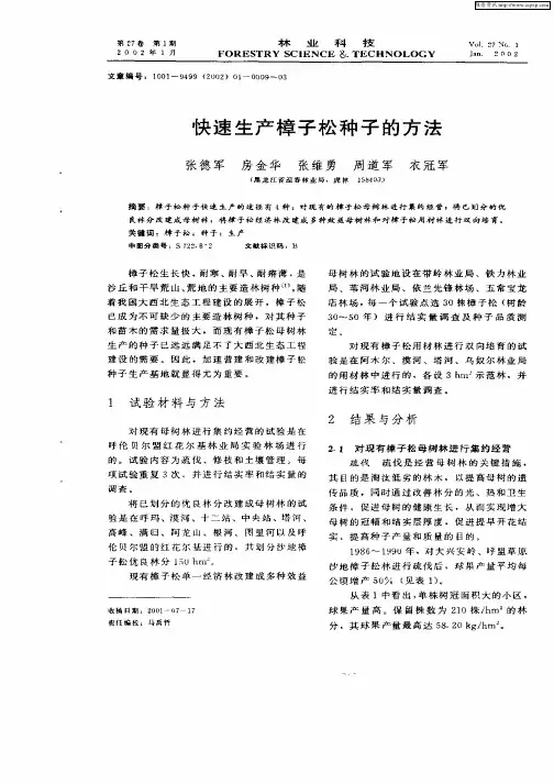 快速生产樟子松种子的方法