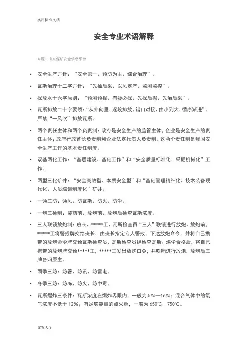 安全专业术语解释