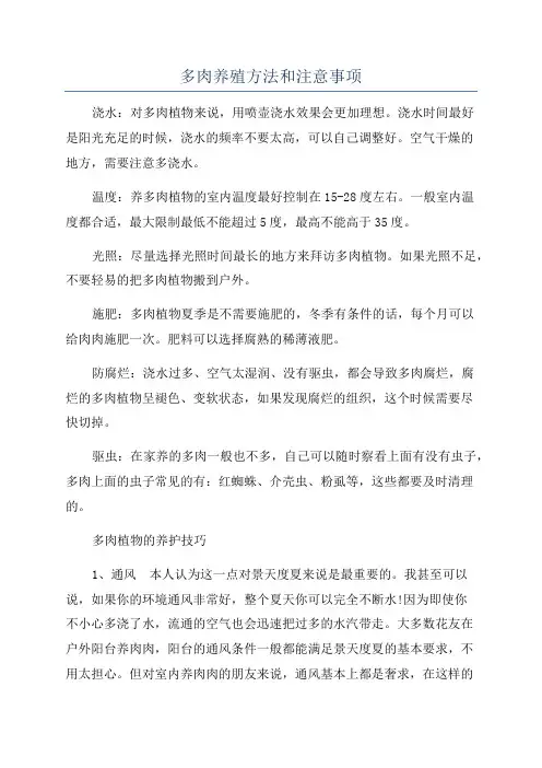 多肉养殖方法和注意事项