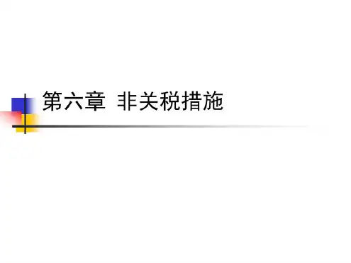 六非关税措施PPT课件