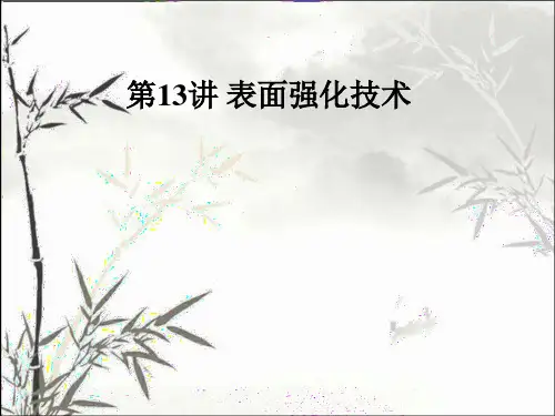表面强化技术 PPT