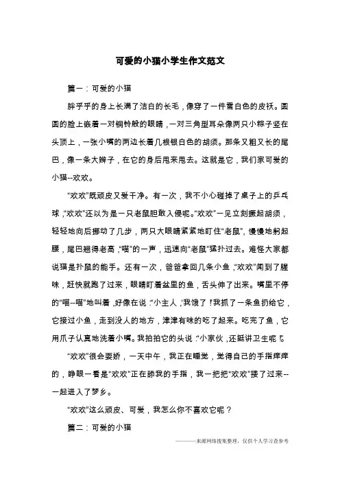可爱的小猫小学生作文范文