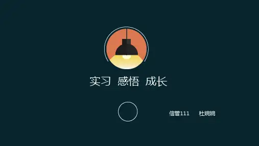 网站编辑顶岗实习PPT