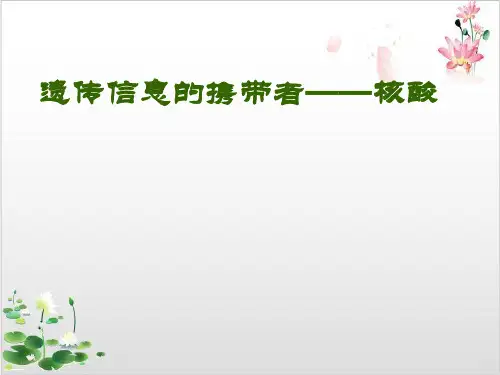 高一生物遗传信息的携带者—核酸-ppt精品课件
