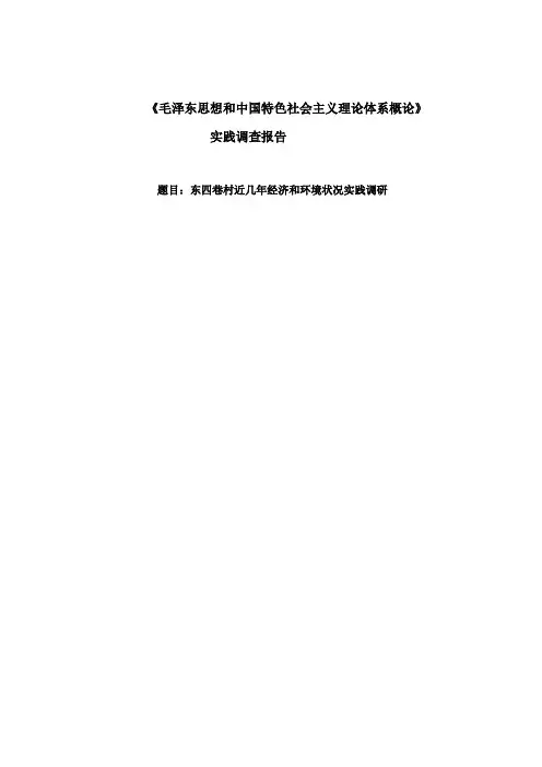 马克思实践调查报告模板