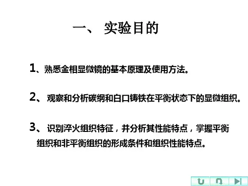 金相组织观察实验