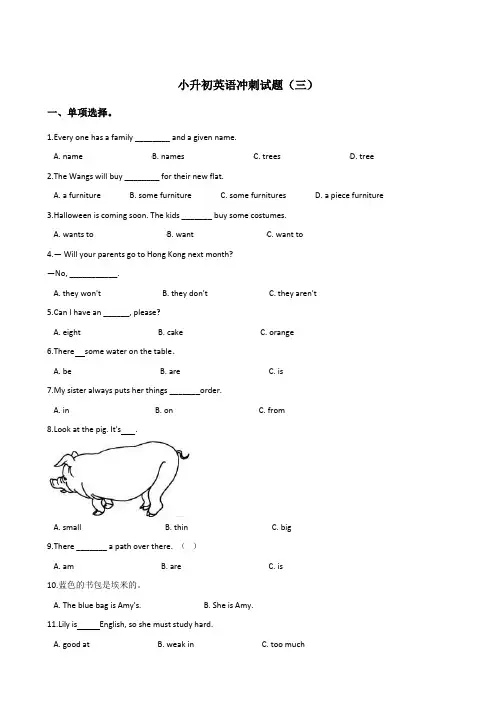 六年级下册英语试题--小升初全真模拟试题(三) 含答案