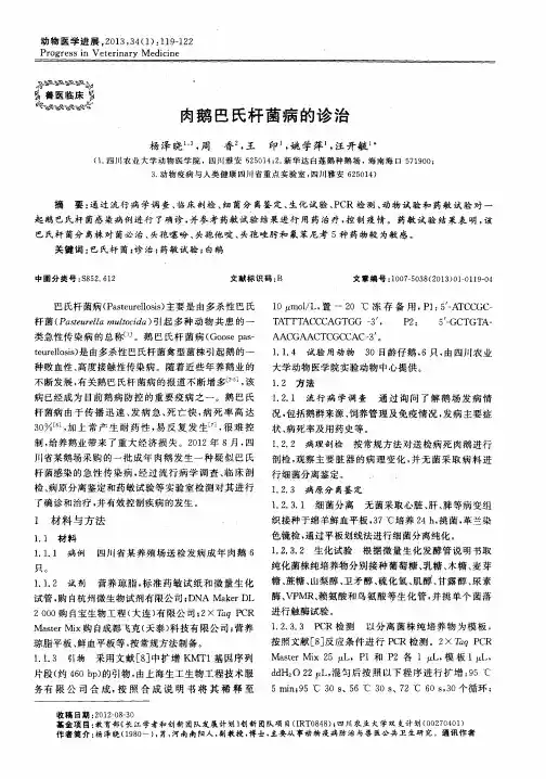 肉鹅巴氏杆菌病的诊治