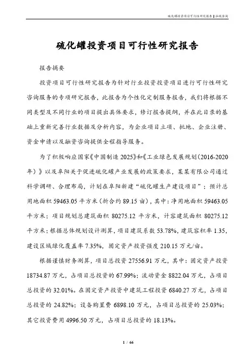 硫化罐投资项目可行性研究报告