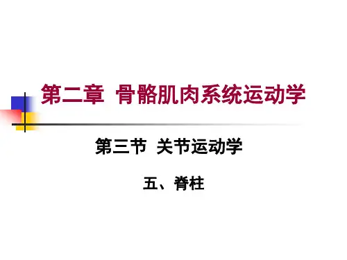 第二章第三节关节运动学脊柱运动学概述
