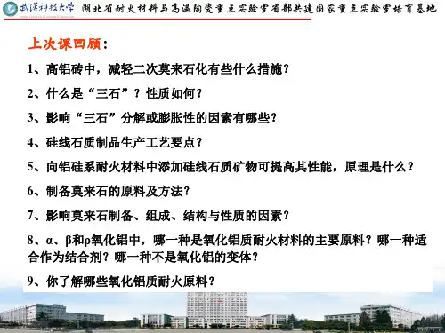 第4章 碱性耐火材料-1镁质和镁铬质