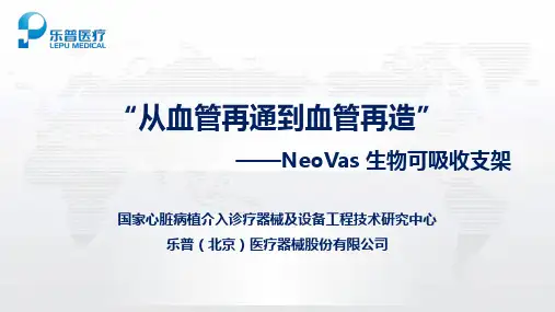中国的可降解支架
