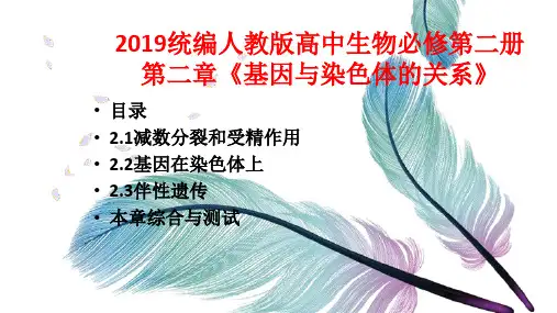 2019版统编人教高中生物必修第二册第二章《基因和染色体的关系》全章节PPT课件(已分节方便查找)