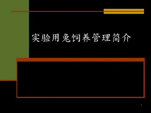 最新实验用兔饲养管理简介