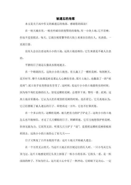 被遗忘的角落_高中作文