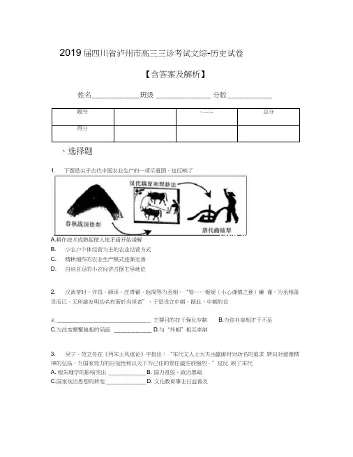 2019届四川省泸州市高三三诊考试文综-历史试卷【含答案及解析】