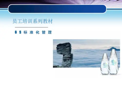 6S标准化管理