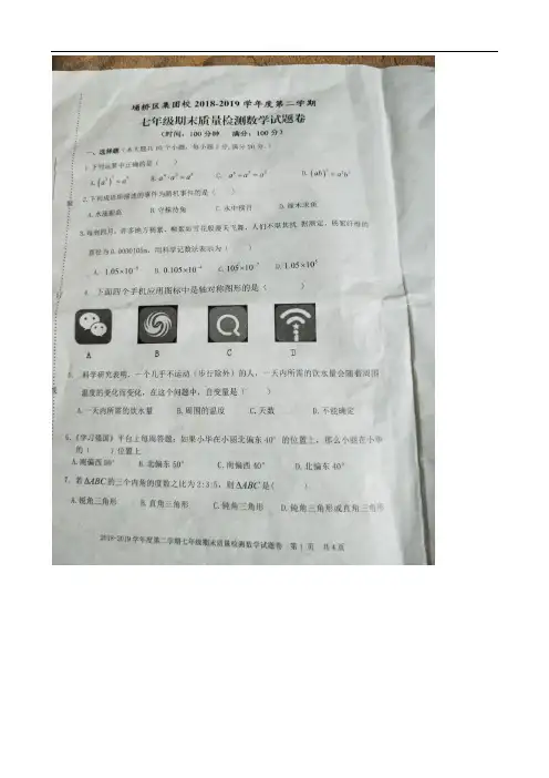 2018-2019学年安徽省宿州市埇桥区七年级下册期末考试数学试卷(无答案)