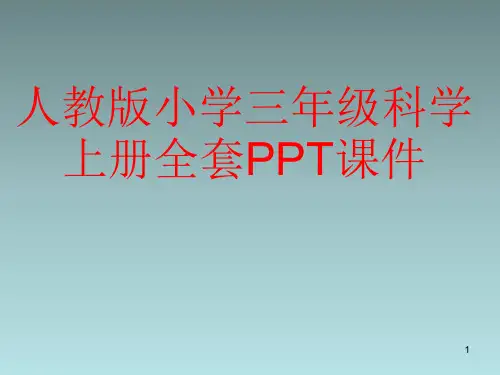 人教版小学三年级科学上册全套PPT课件