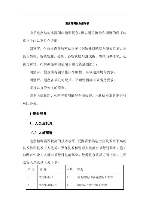 道岔精调作业指导书
