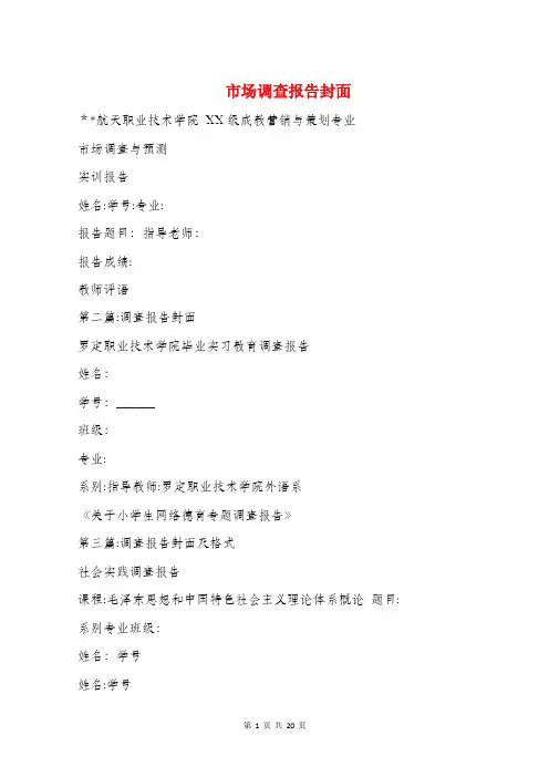 市场调查报告封面(多篇)