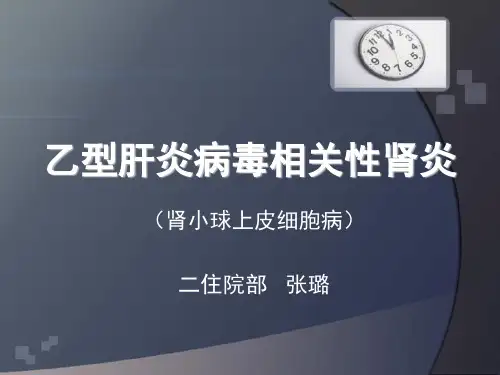 乙肝相关性肾病免疫发病机制