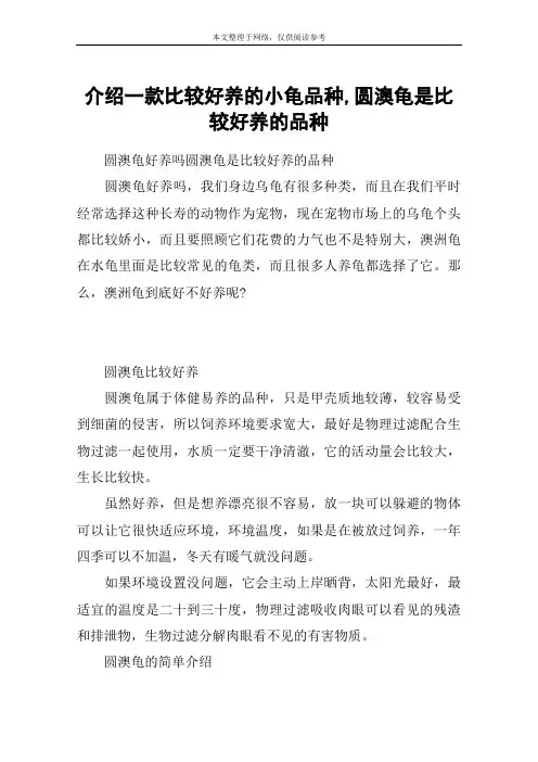 介绍一款比较好养的小龟品种,圆澳龟是比较好养的品种