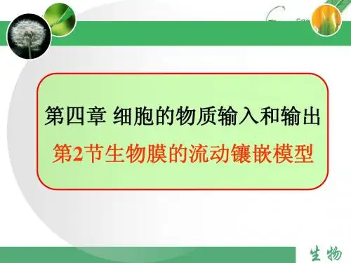 第四章：第二节,生物膜的流动镶嵌模型