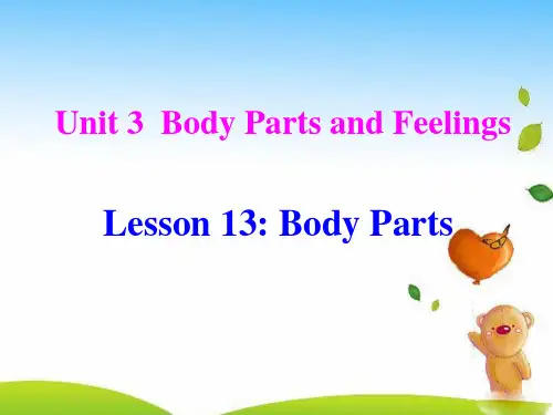 冀教版七年级英语上册 Unit 3 Lesson 13 课件(共19张PPT)