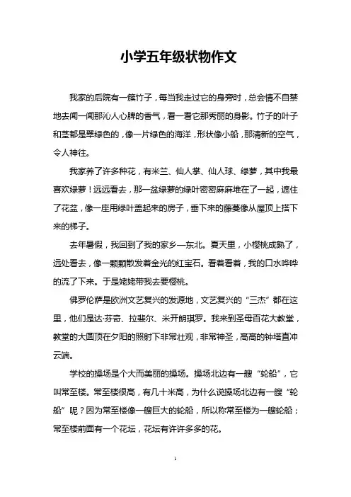 小学五年级状物作文_1