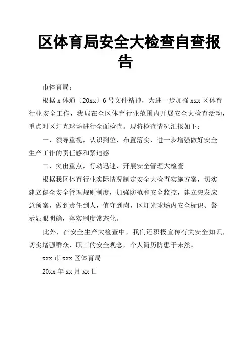 区体育局安全大检查自查报告