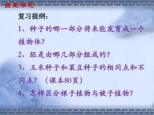 种子的萌发课件