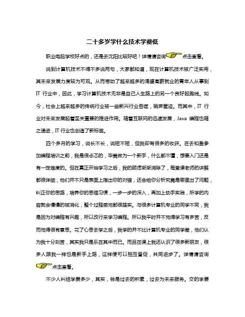 男孩二十多岁学什么技术学费低