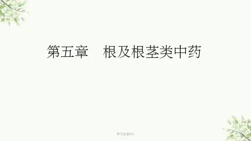 根及根茎类中药课件