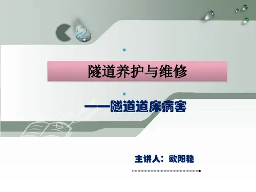 道床病害的预防.ppt