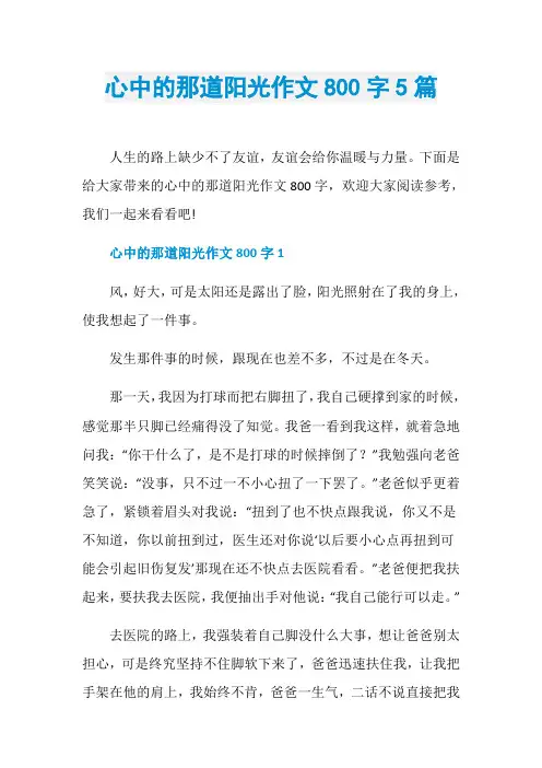 心中的那道阳光作文800字5篇