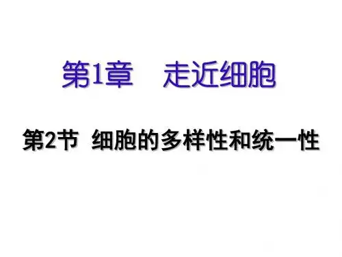 1.2 细胞的多样性与统一性