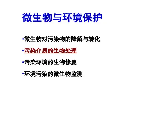 污水的生物处理