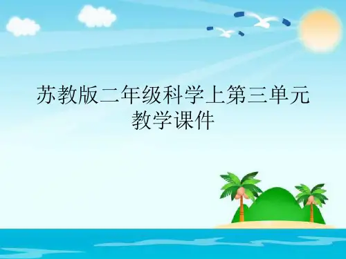 苏教版二年级科学上第三单元教学课件