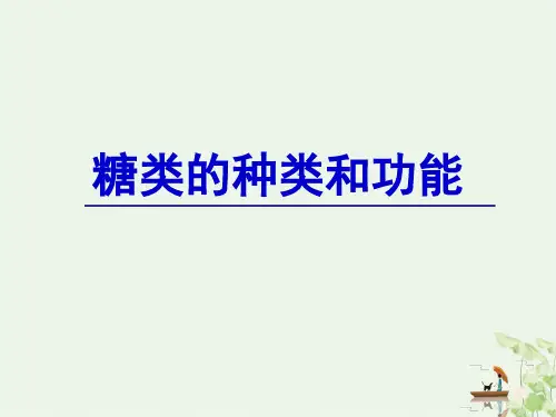 苏教版高中生物必修一 糖类的种类和功能
