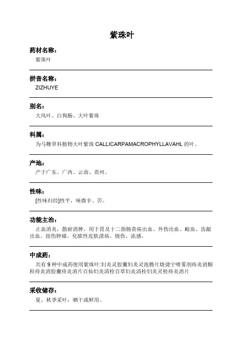 紫珠叶中药材详细说明书