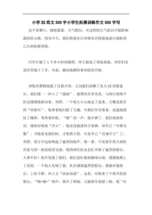 小学XX范文500字小学生拓展训练作文500字写