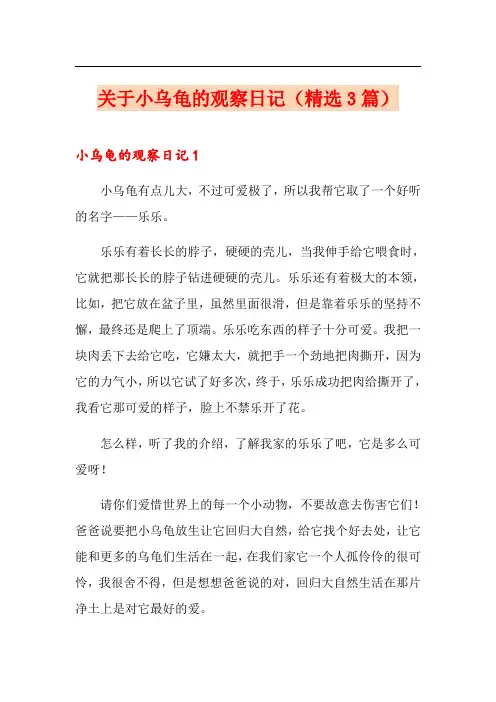 关于小乌龟的观察日记(精选3篇)